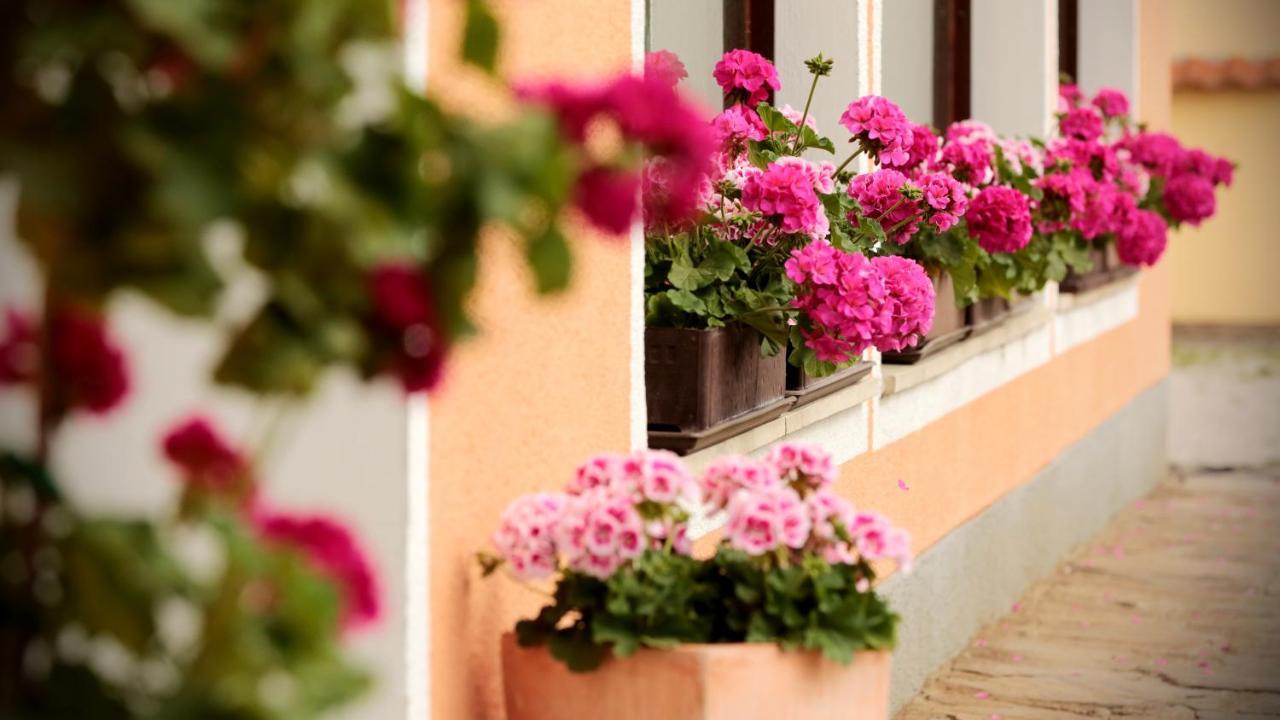 Hotel Reineldis Mureck Εξωτερικό φωτογραφία